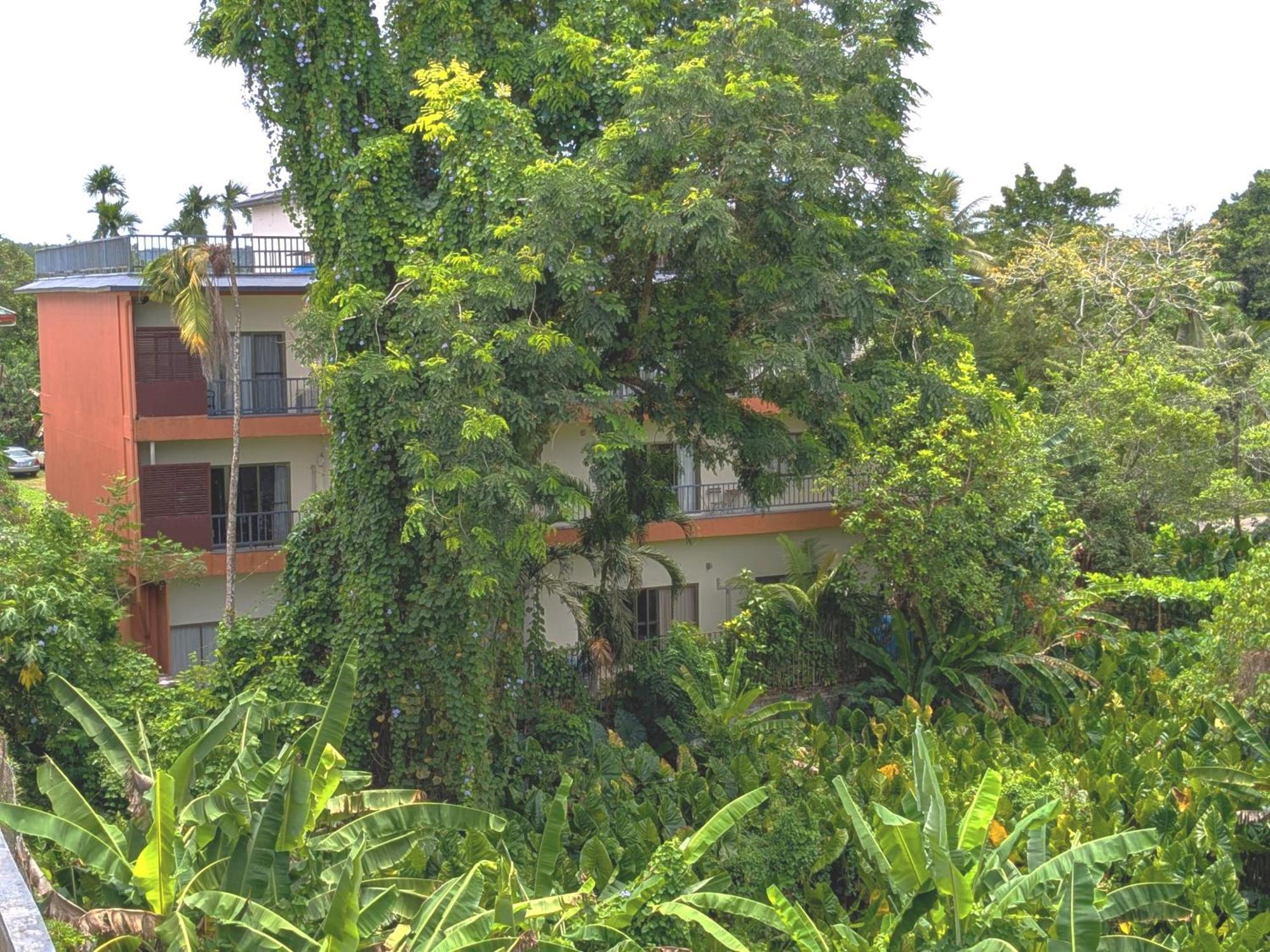 Garden Palace Downtown Koror Extérieur photo